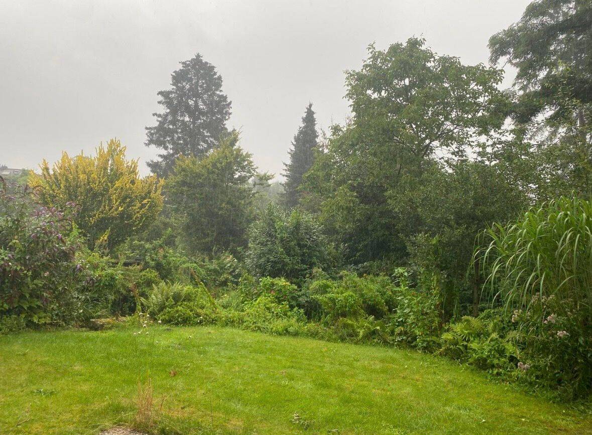 Ruhige Wohnung in begehrter Wohnlage in Hagen-Emst, 58093 Hagen