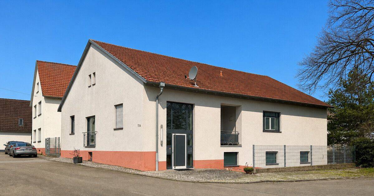Modernes Architektenhaus mit Einliegerwohnung in Mannheim Feudenheim, 68259 Mannheim (Feudenheim Wallstadt)