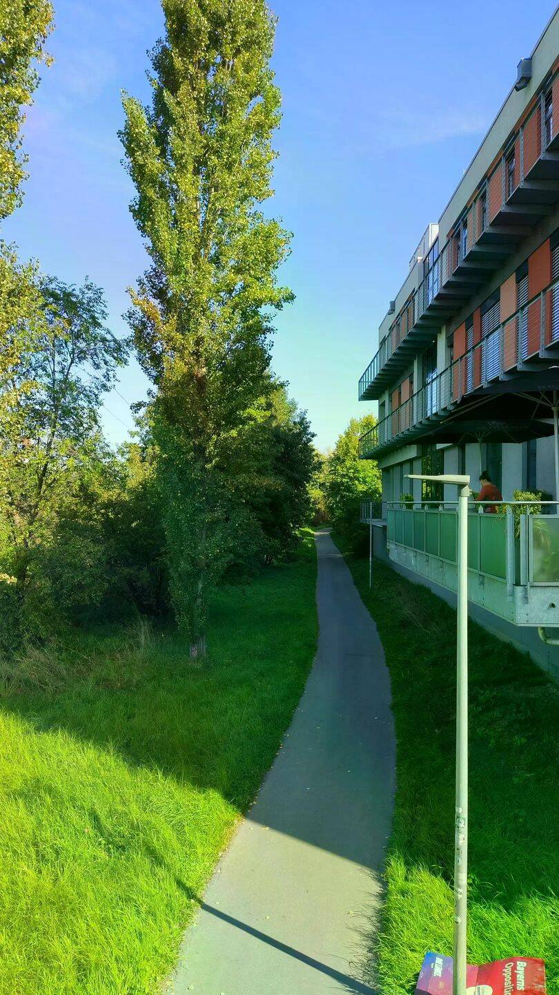 image-72813691