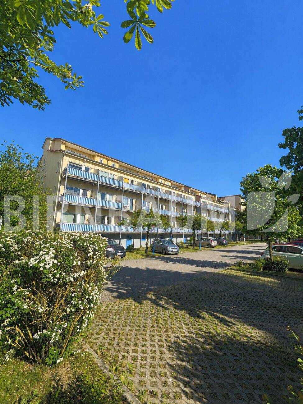 Investieren in guter Lage: Dachgeschosswohnung mit sonniger Terrasse, 17489 Greifswald