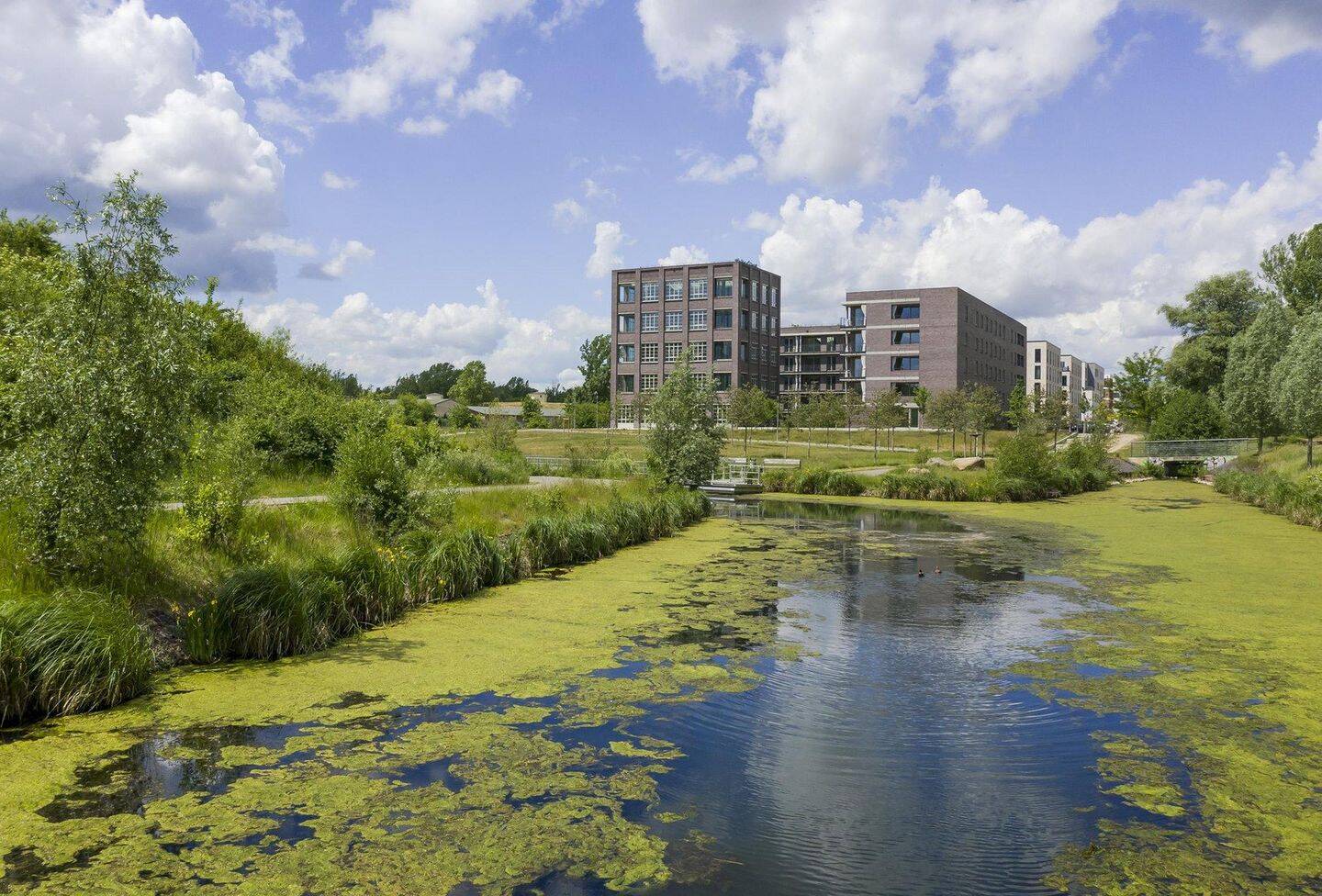 Erdgeschosswohnung mit Wasserblick, 4179 Leipzig (Altlindenau Leutzsch Neulindenau Schönau)