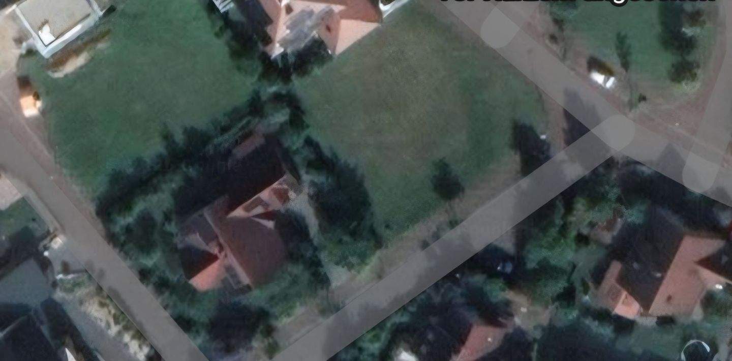 image-72749651