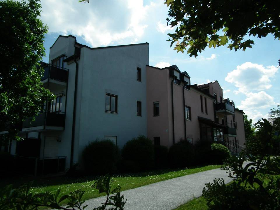 image-72615383