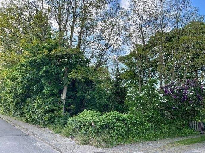 Geräumiges Gewerbegrundstück in Ortsrandlage, 29633 Munster