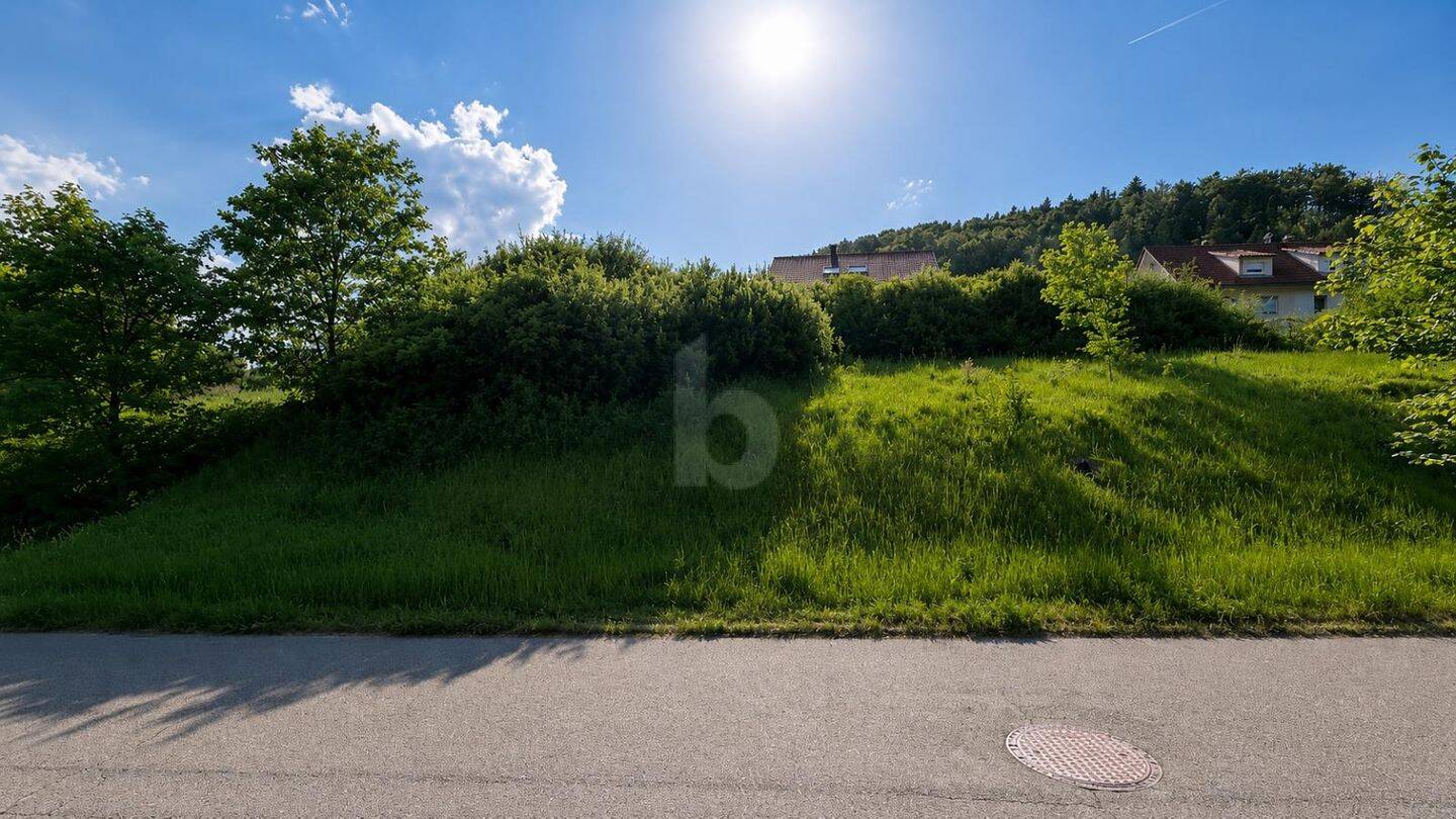 RUHIGE WOHNLAGE IN GEWACHSENEM WOHNGEBIET, 72393 Burladingen