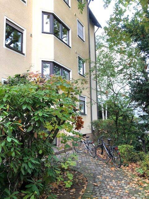 image-72504594