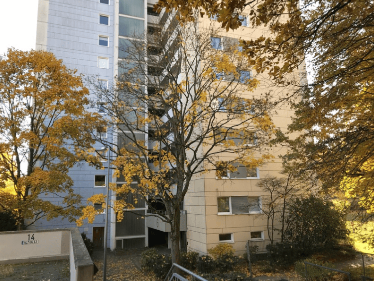 image-72741653