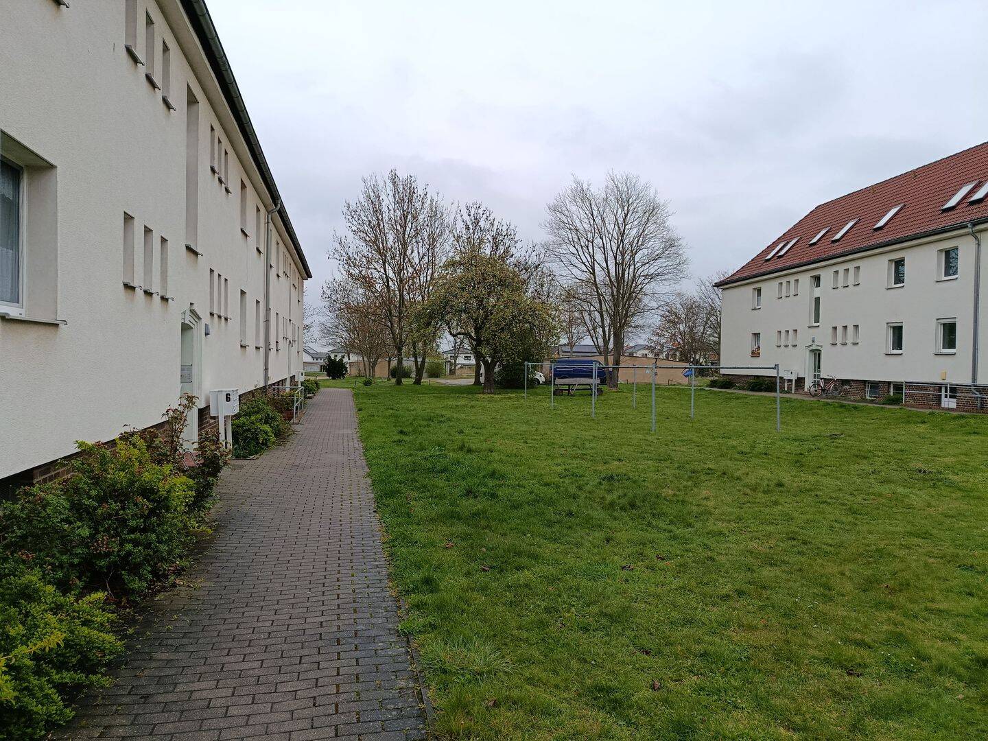 image-72497197