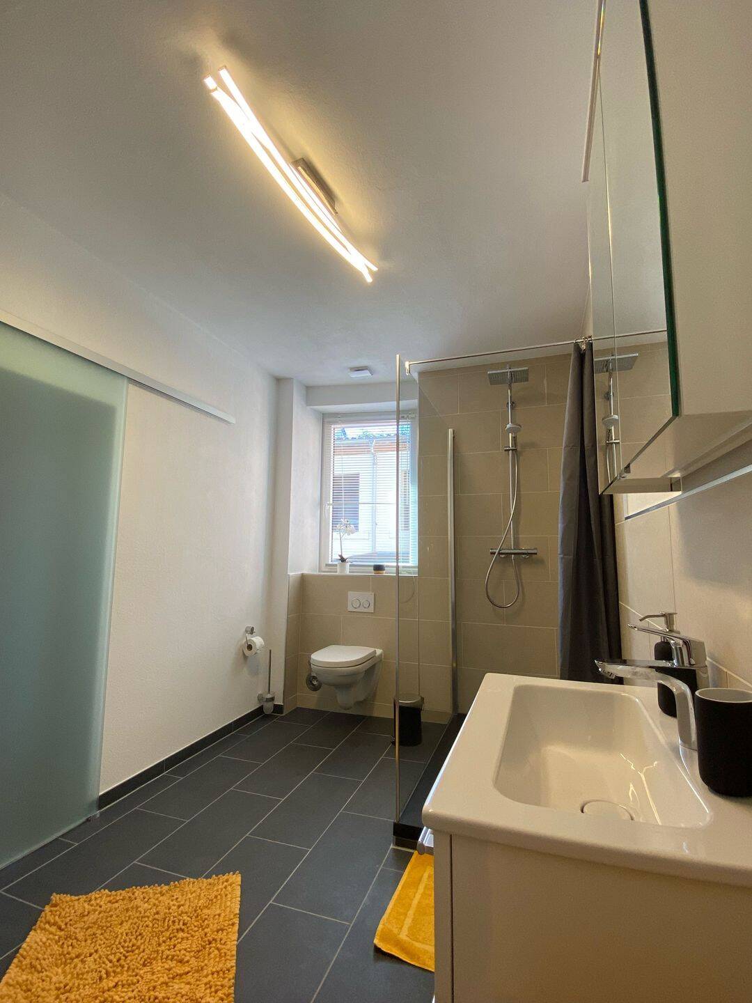 Möblierte und Kernsanierte 3-Zimmer Altbauwohnung am Musikerviertel, 67655 Kaiserslautern (Innenstadt)