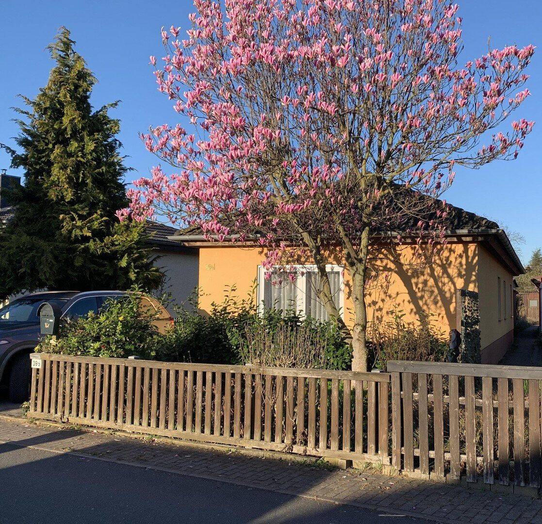 Einfamilienhaus + Gartenbungalow in bester Lage, 39110 Magdeburg (Diesdorf Stadtfeld West)