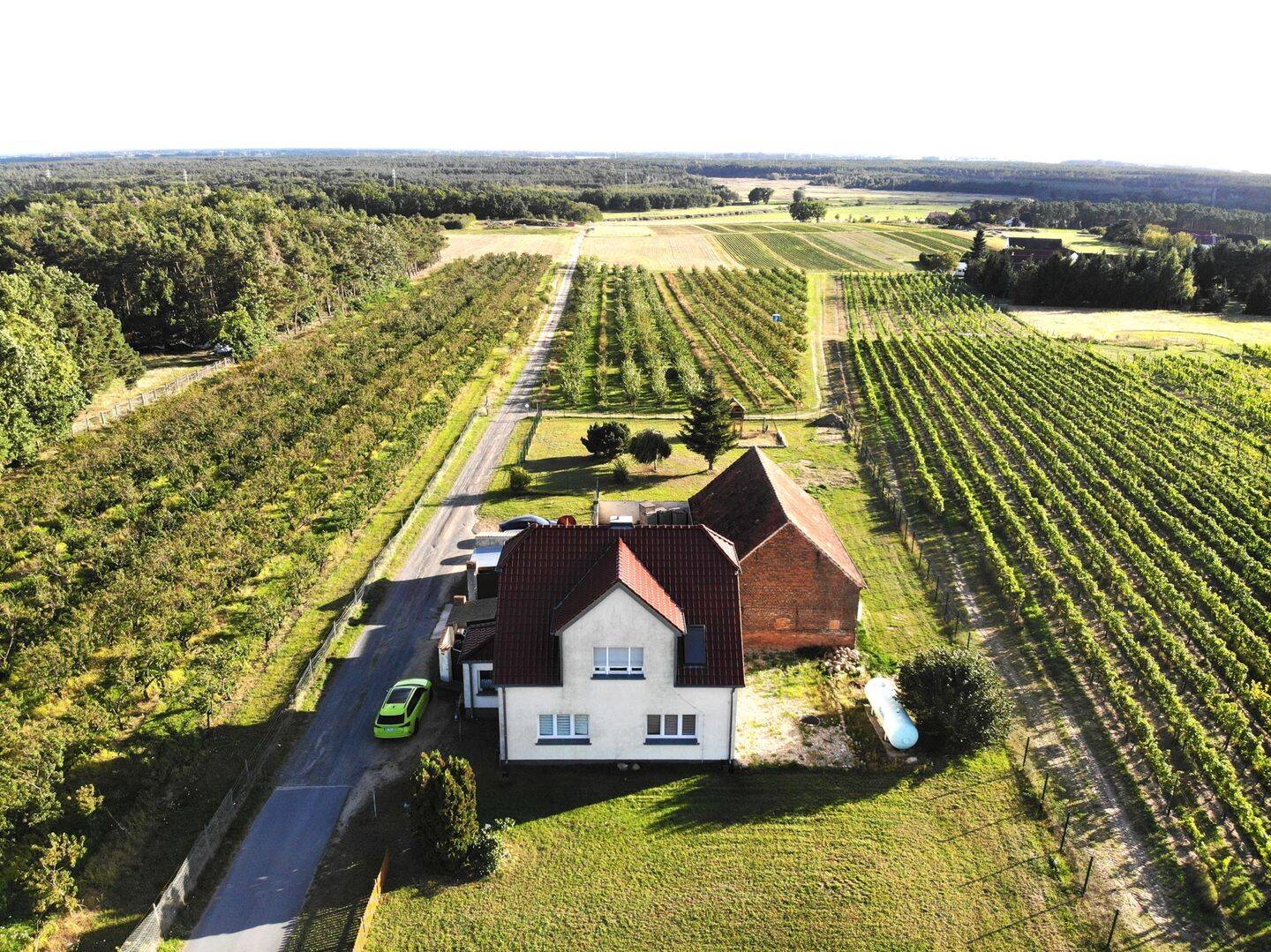 Saniertes EFH mit viel Nebengelass direkt am Weinberg, 6917 Jessen (Elster)