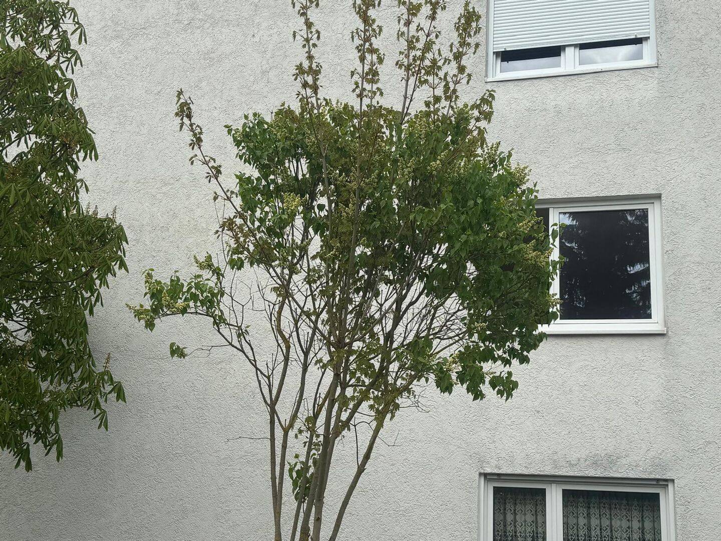 4-Zimmer-Wohnung mit Keller, Garage und PKW-Stellplatz vor der Garge, 89601 Schelklingen