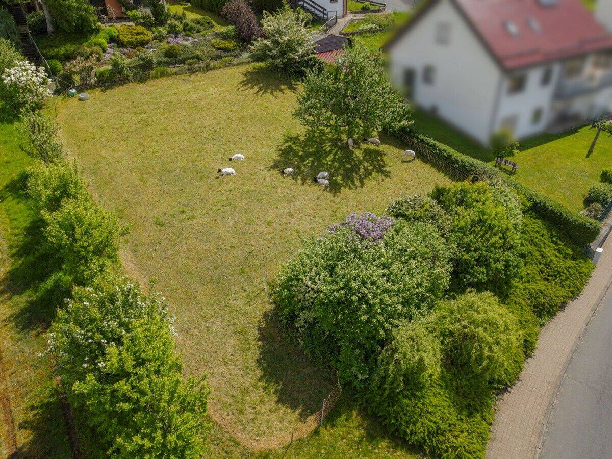 Ihr sonniger Bauplatz in Tann (Rhön), 36142 Tann (Rhön)