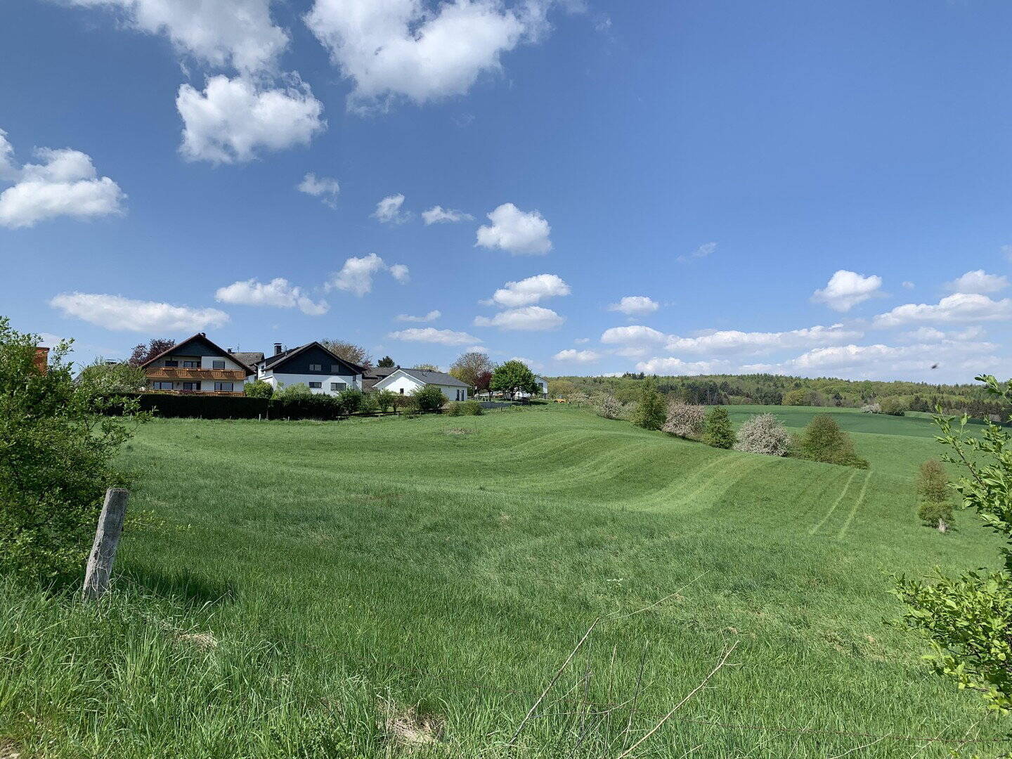 Möblierte Wohnung in grüner Idylle, 64285 Darmstadt (Darmstadt)