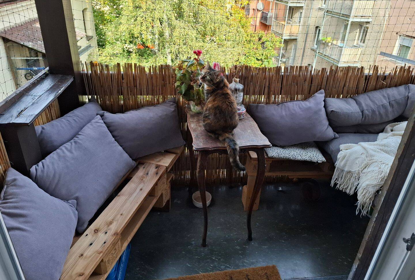 Schnuckeliges WG-Zimmer Südstadt (möbliert) ab 01.10.2026!!️, 90459 Nürnberg