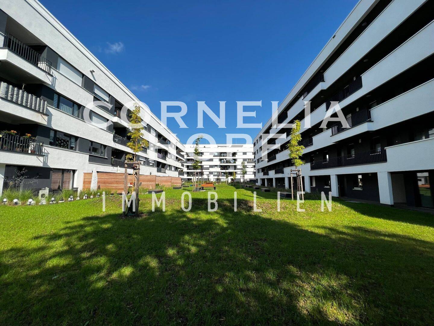 3-Raum-Wohnung mit Smart-Home-Komfort, 6110 Halle (Saale) (Damaschkestraße Gesundbrunnen Innenstadt Lutherplatz Saaleaue)