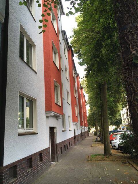 image-72707133