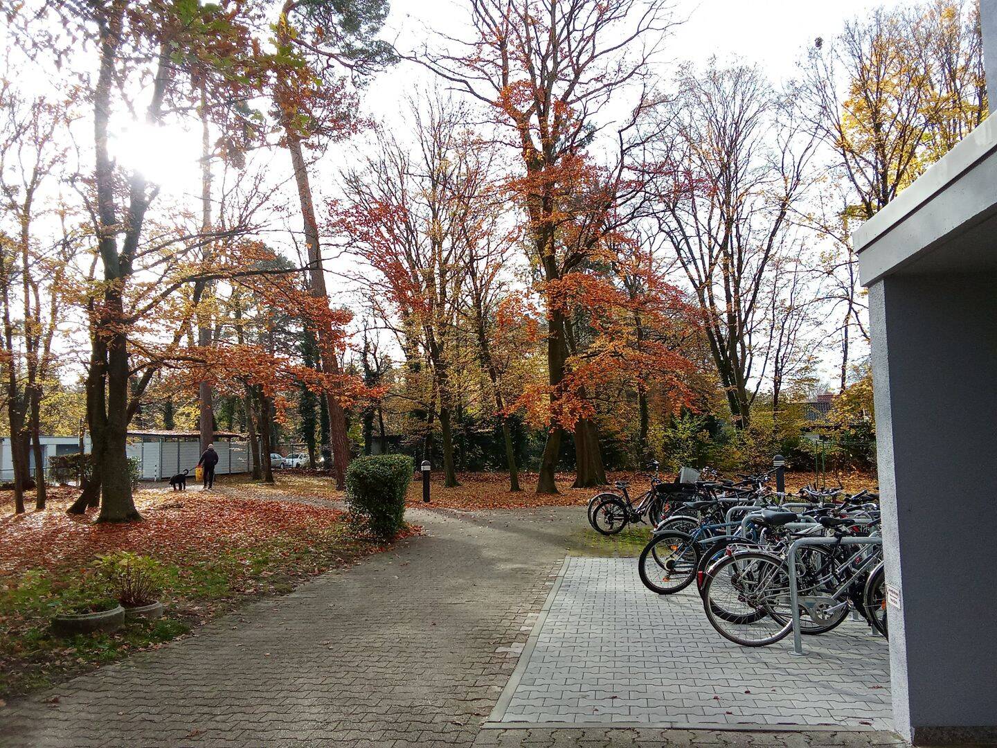 1 WG-Zimmer in Karlsruhe-Waldstadt mit traumhafter Aussicht, 76139 Karlsruhe (Hagsfeld Rintheim Waldstadt)