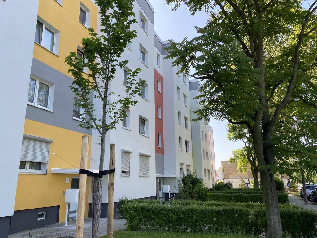 Perfektes Apartment für Singles / Perfect apartment for singles, 3048 Cottbus (Madlow Sachsendorf Spremberger Vorstadt Ströbitz)