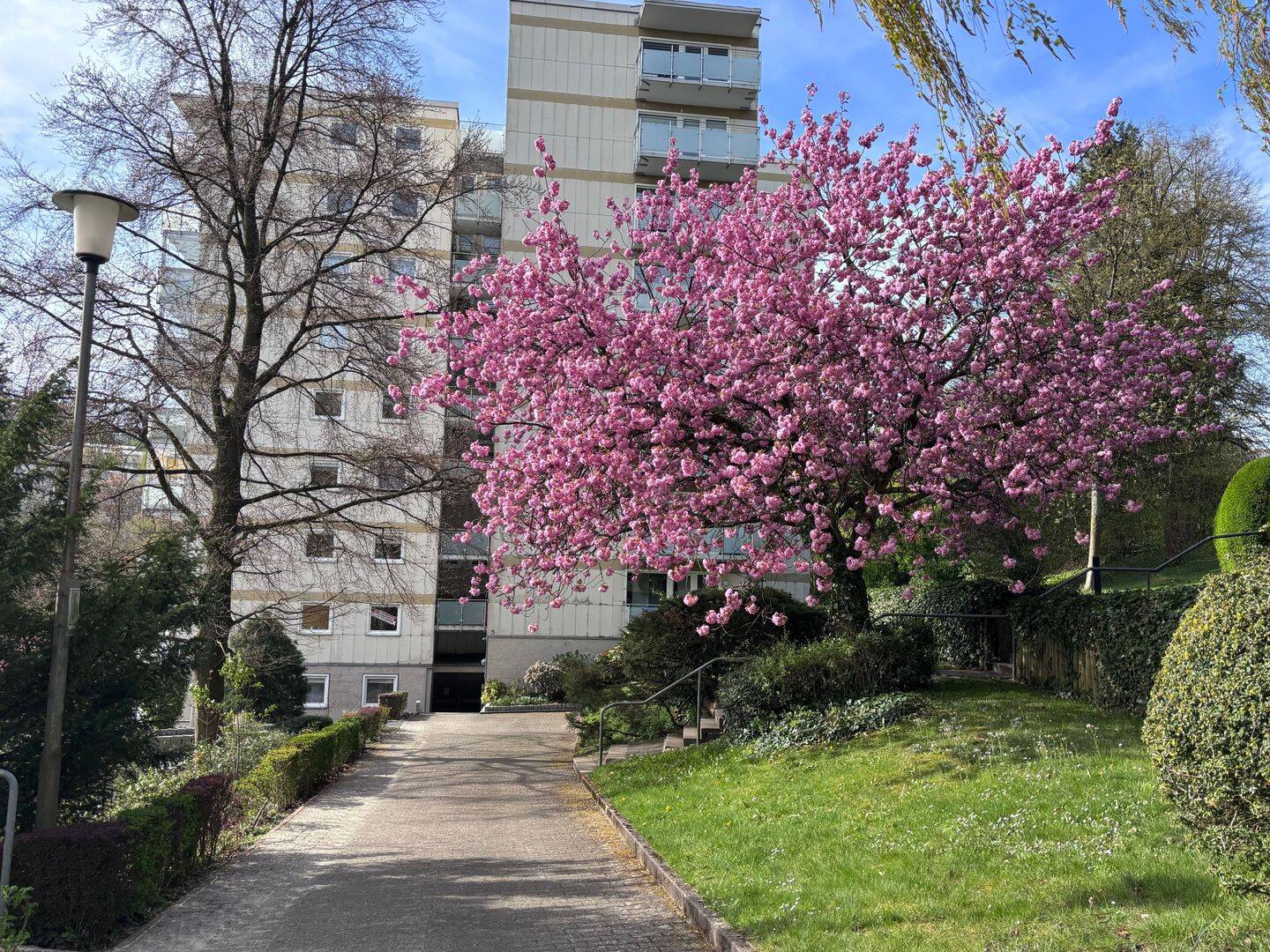 Modernisierte 3-Zimmer-Eigentumswohnung mit 2 Balkonen und Waldblick in ruhiger Grünlage, 42117 Wuppertal (Elberfeld)