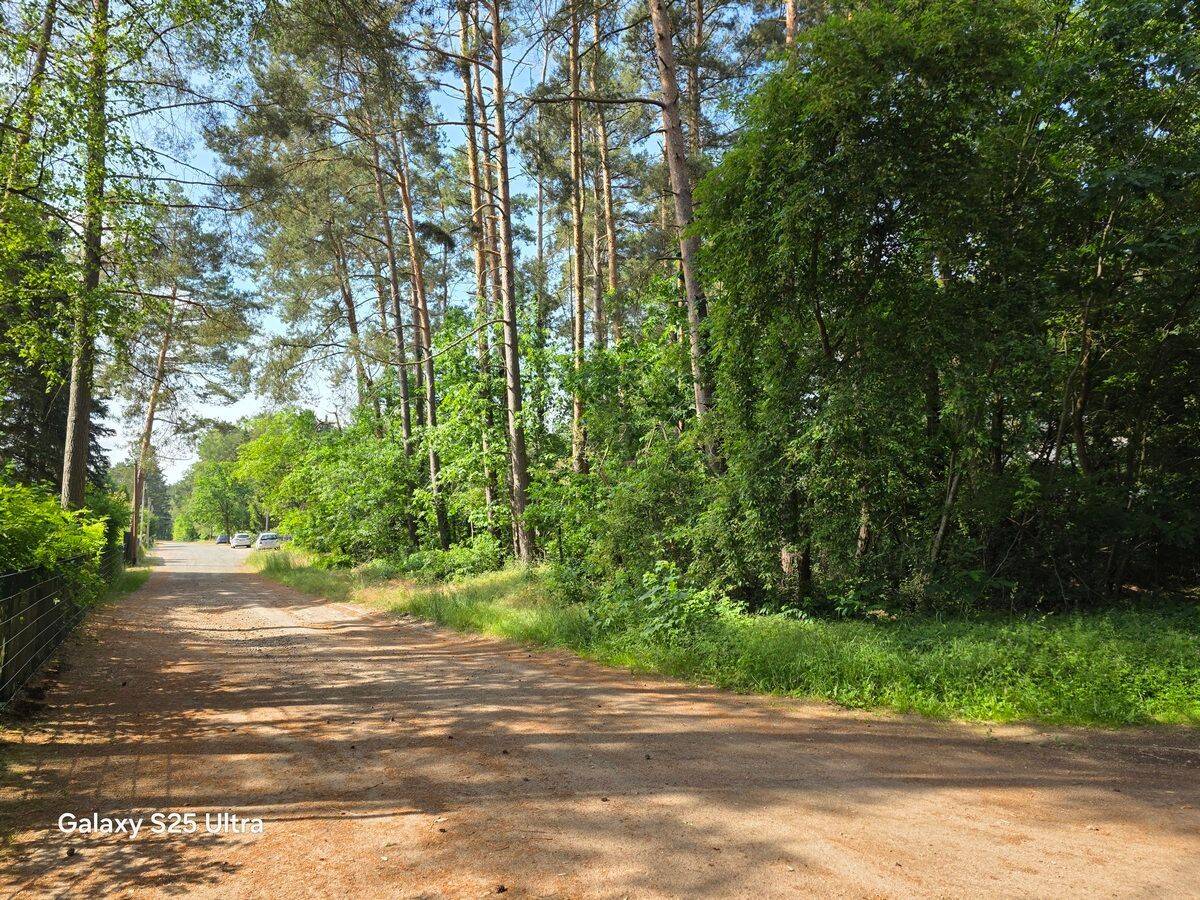 Ein teilbares Baugrundstück in der Waldgemeinde Borkheide, 14822 Borkheide