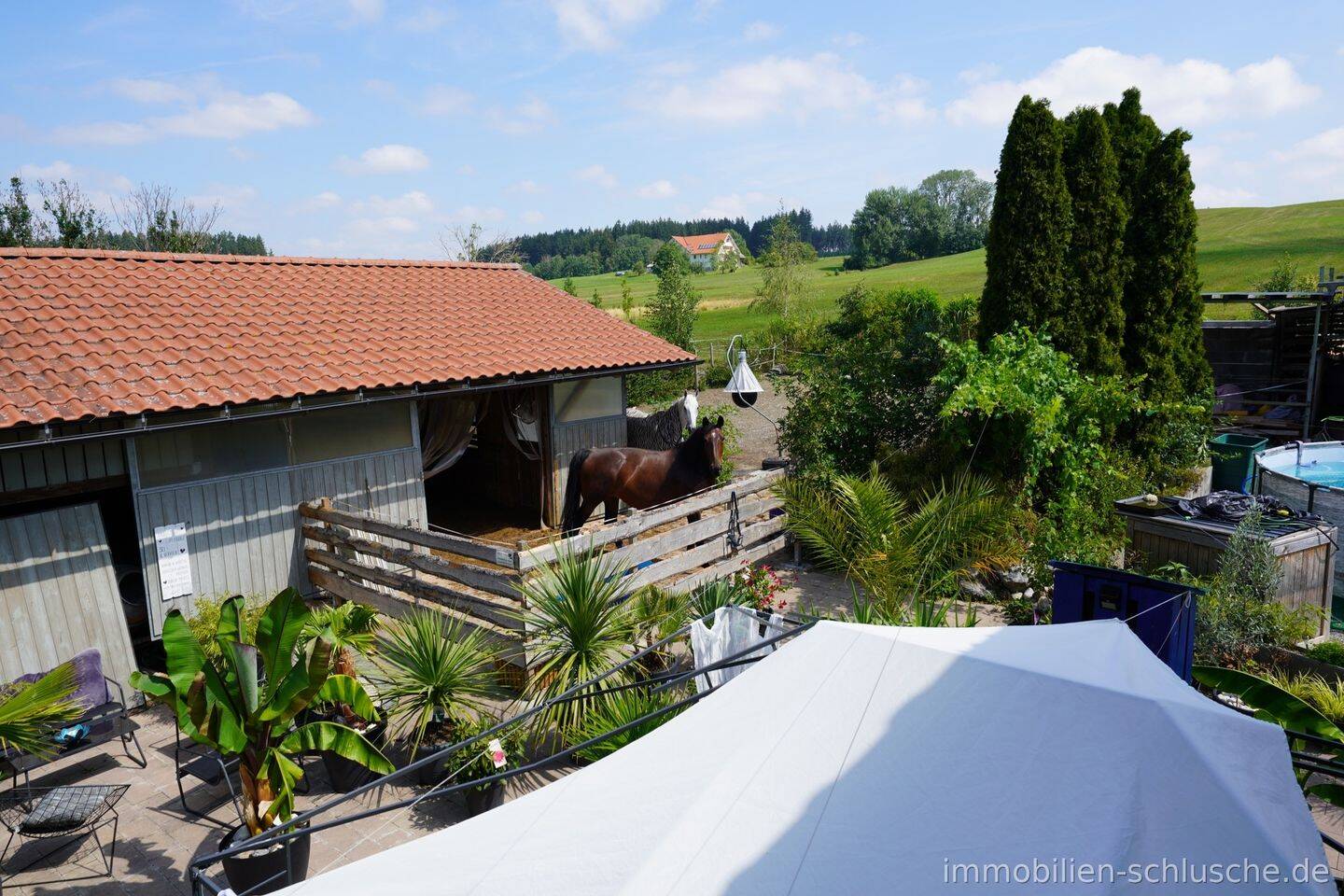 Paradies für Pferd und Reiter mit viel Wohnfläche nah bei Leutkirch, als Energiesparwunder, 88299 Leutkirch im Allgäu