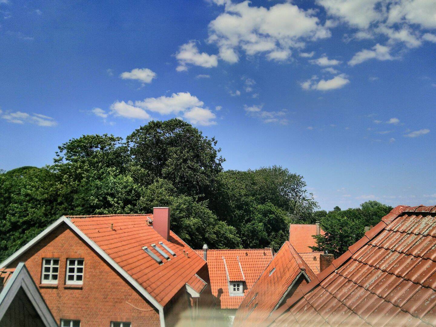 image-72684618