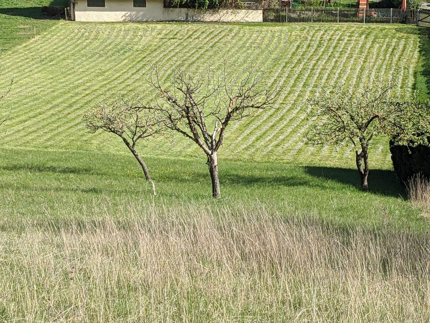 image-72519864