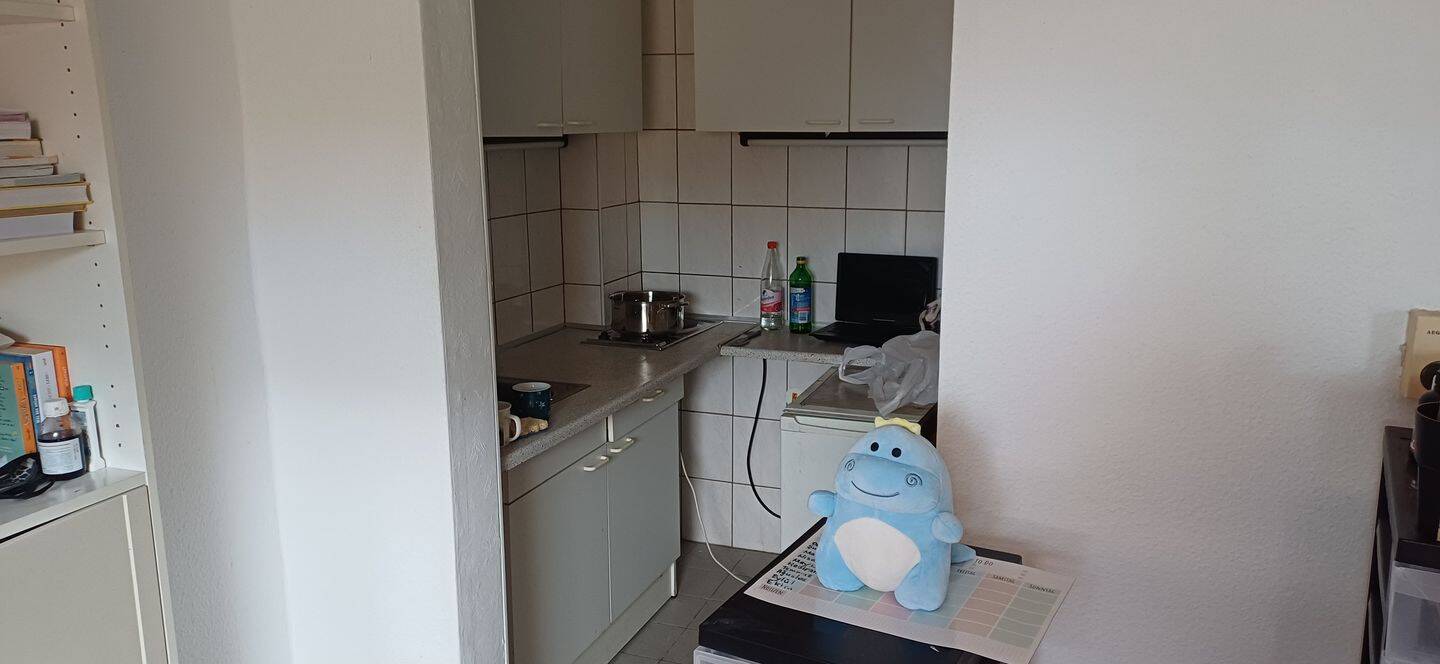 kompaktes 1- Zimmer-Apartment, 60489 Frankfurt am Main (Rödelheim)