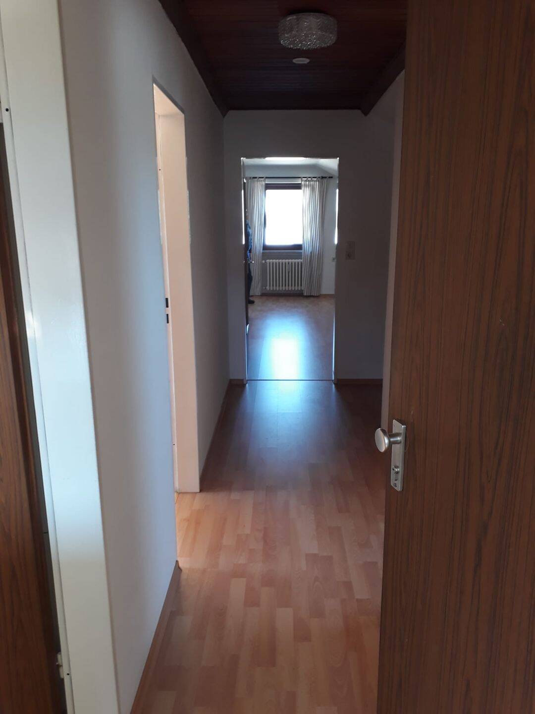 image-72365528