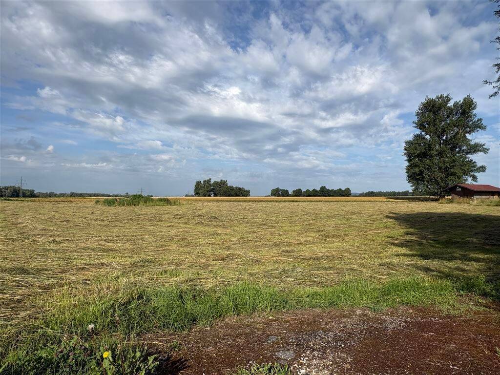 Wiesengrundstück “Grünland” in Bad Füssing – Egglfing, 94072 Bad Füssing
