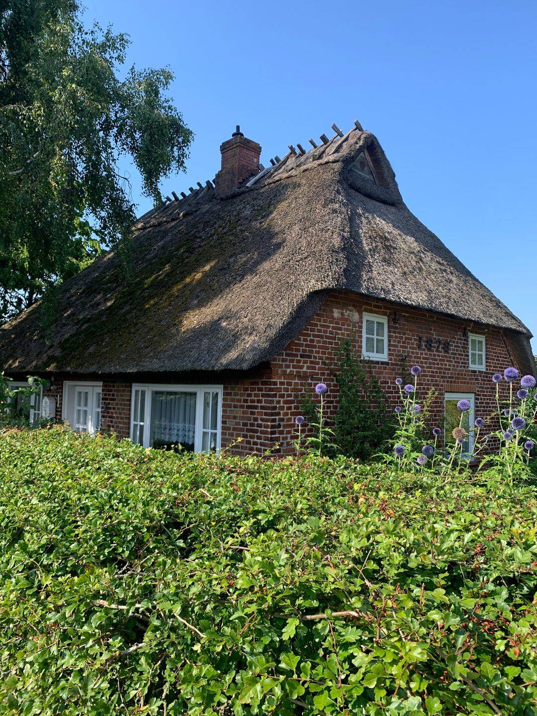 Steinbergkirche b. Flensburg – Die knuddelige Reetdachkate, 24972 Steinberg