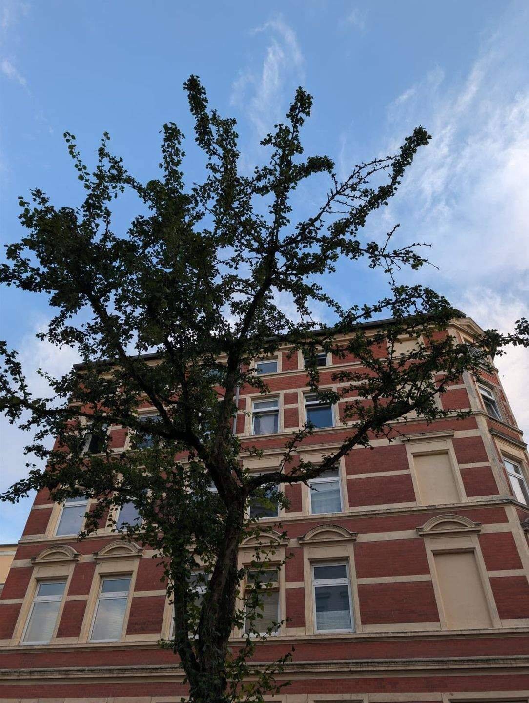 Voll vermietetes Mehrfamilienhaus in Schwerin – 8 Einheiten, Mietsteigerungspotenzial & kein Denkmalschutz, 19055 Schwerin