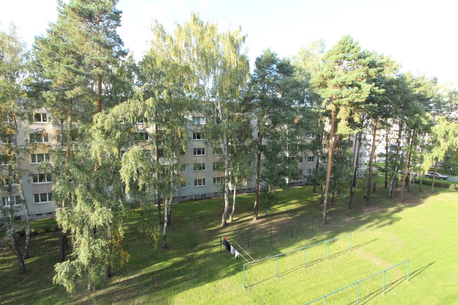 image-72954367