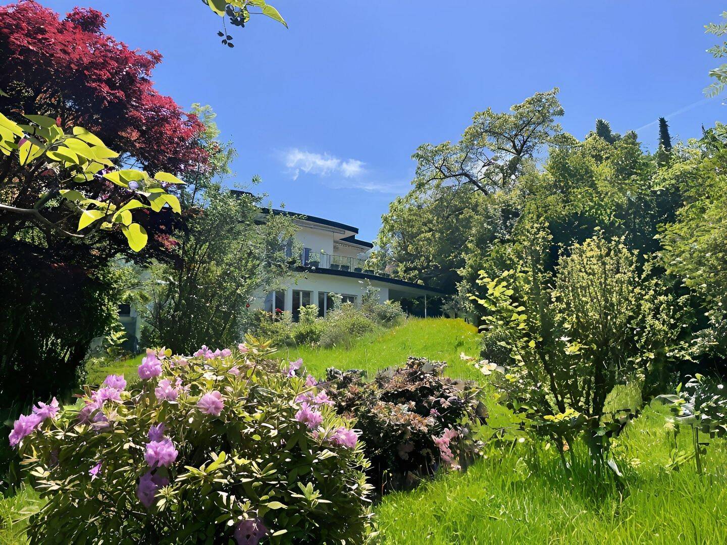 Besonderes Architektenhaus mit Panoramaausblick in Badenweiler, 79410 Badenweiler