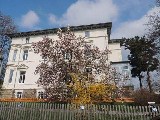 Gemütliche DG 2-Zimmer mit Aufzug und Stellplatz in Villa am Park!, 8412 Werdau