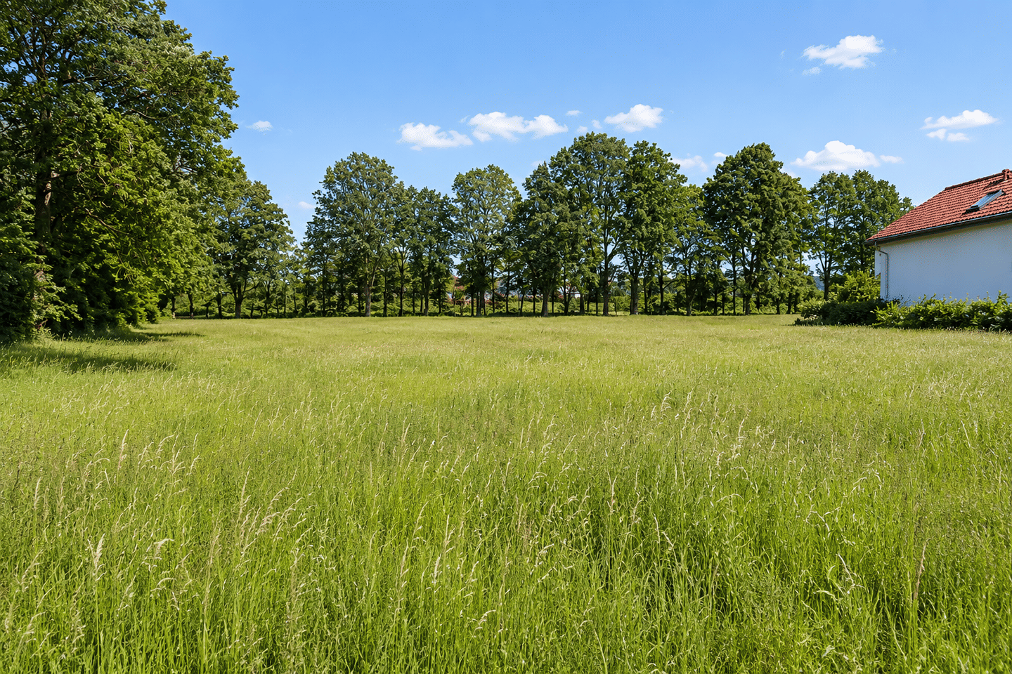 Nähe Bth., Fantastischer Blick ins Grüne, ideale Kombination zwischen Natur und Infrastruktur, 95497 Goldkronach