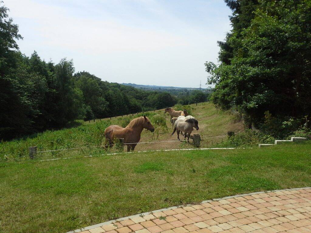 image-72520258