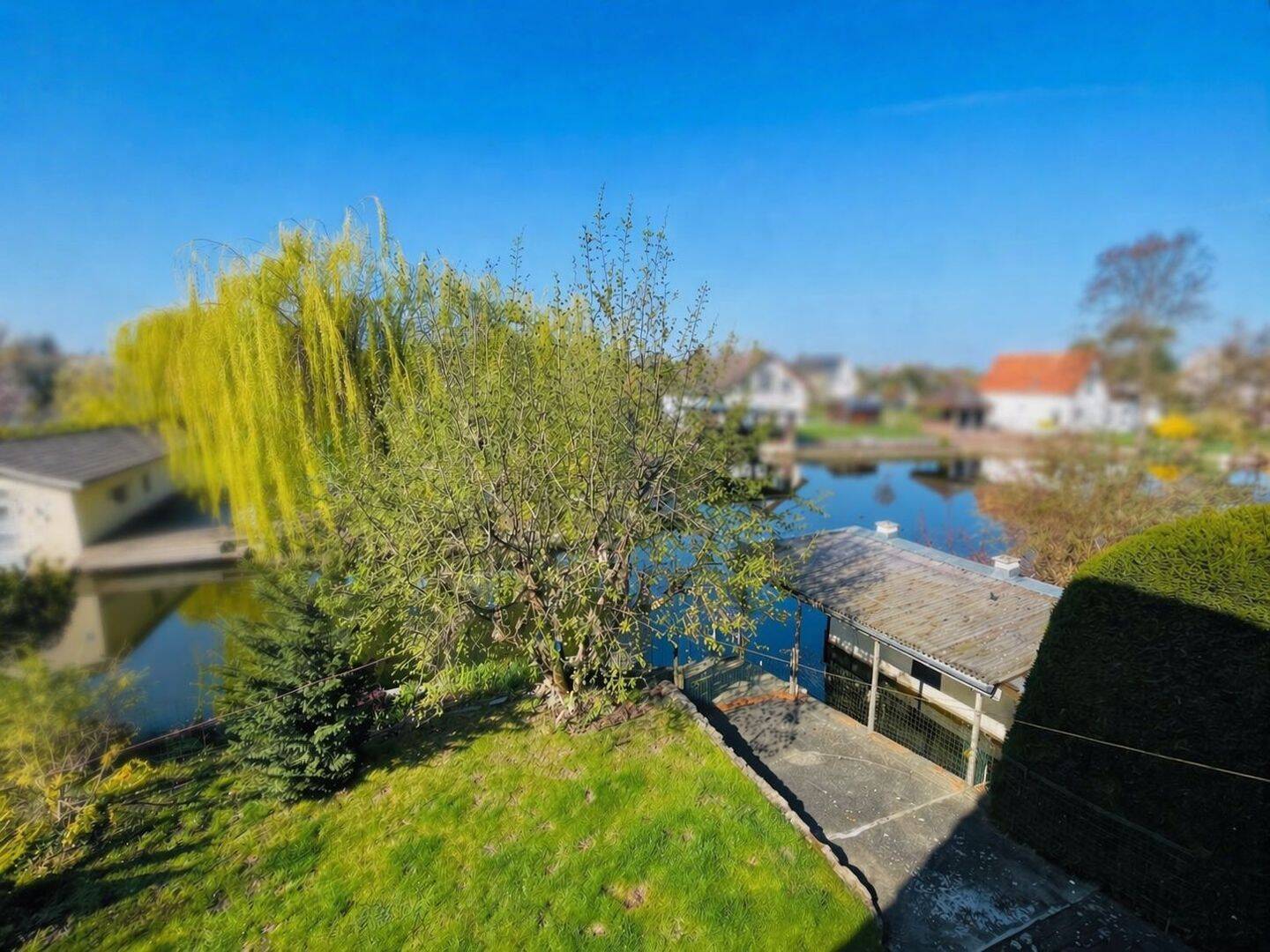 image-72396256