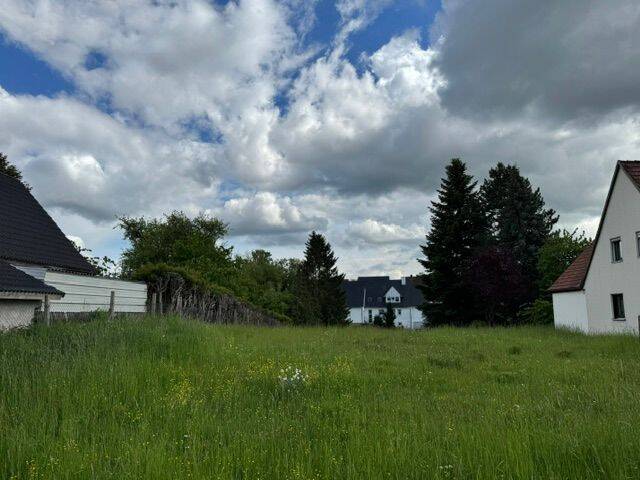 image-72760384
