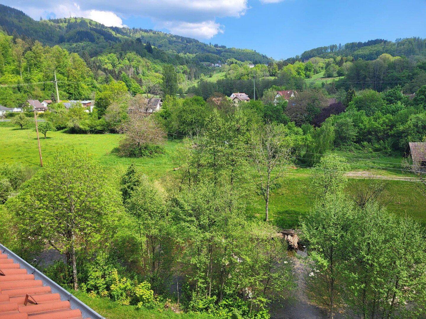 Hochwertige 3 Zimmerwohnung, 79688 Hausen im Wiesental