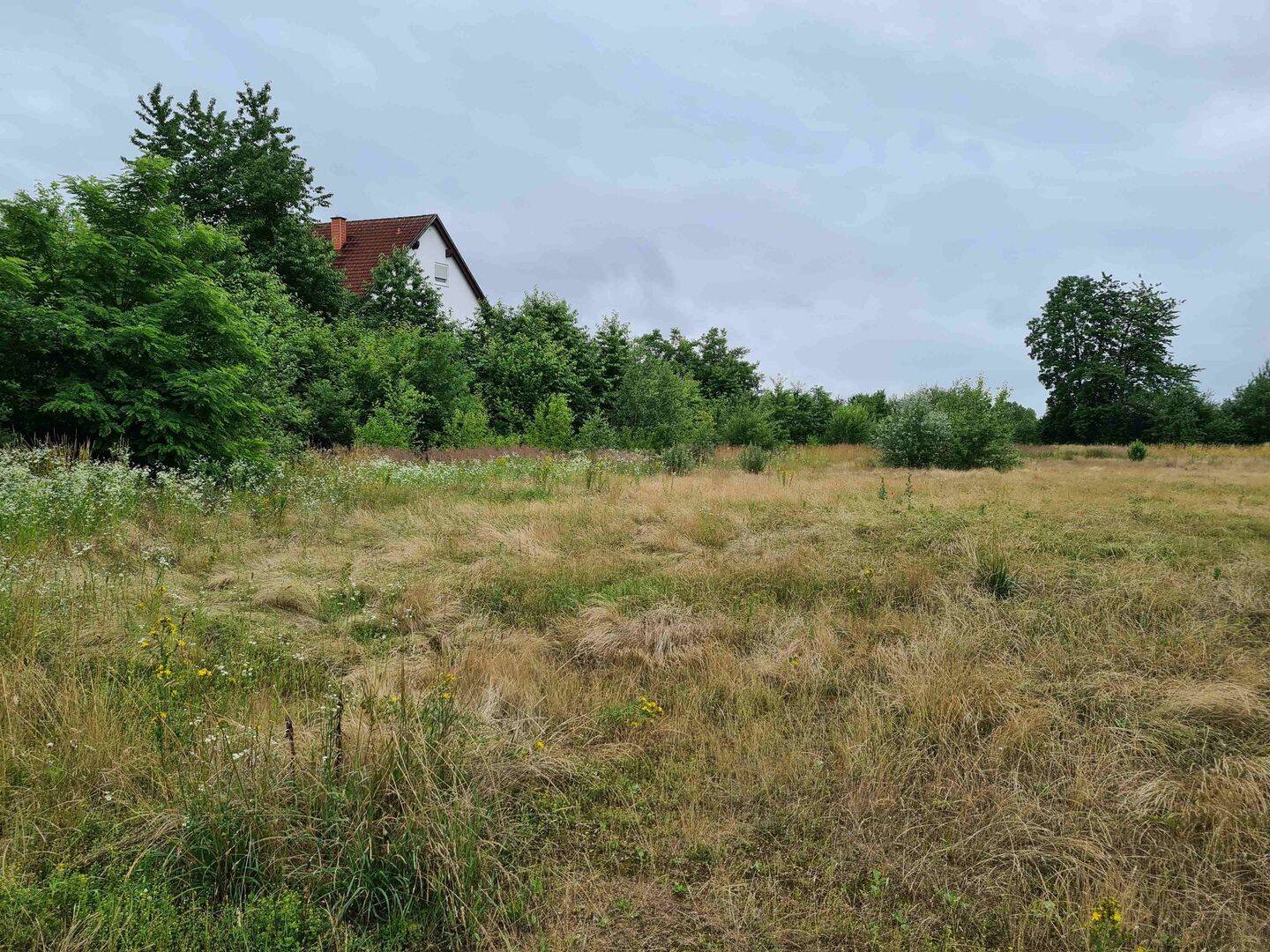 Grundstücke in Fürth: Ein Erholungsort in der Kulturlandschaft, 64658 Fürth