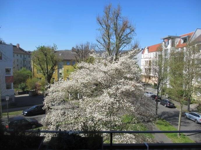 image-72822286