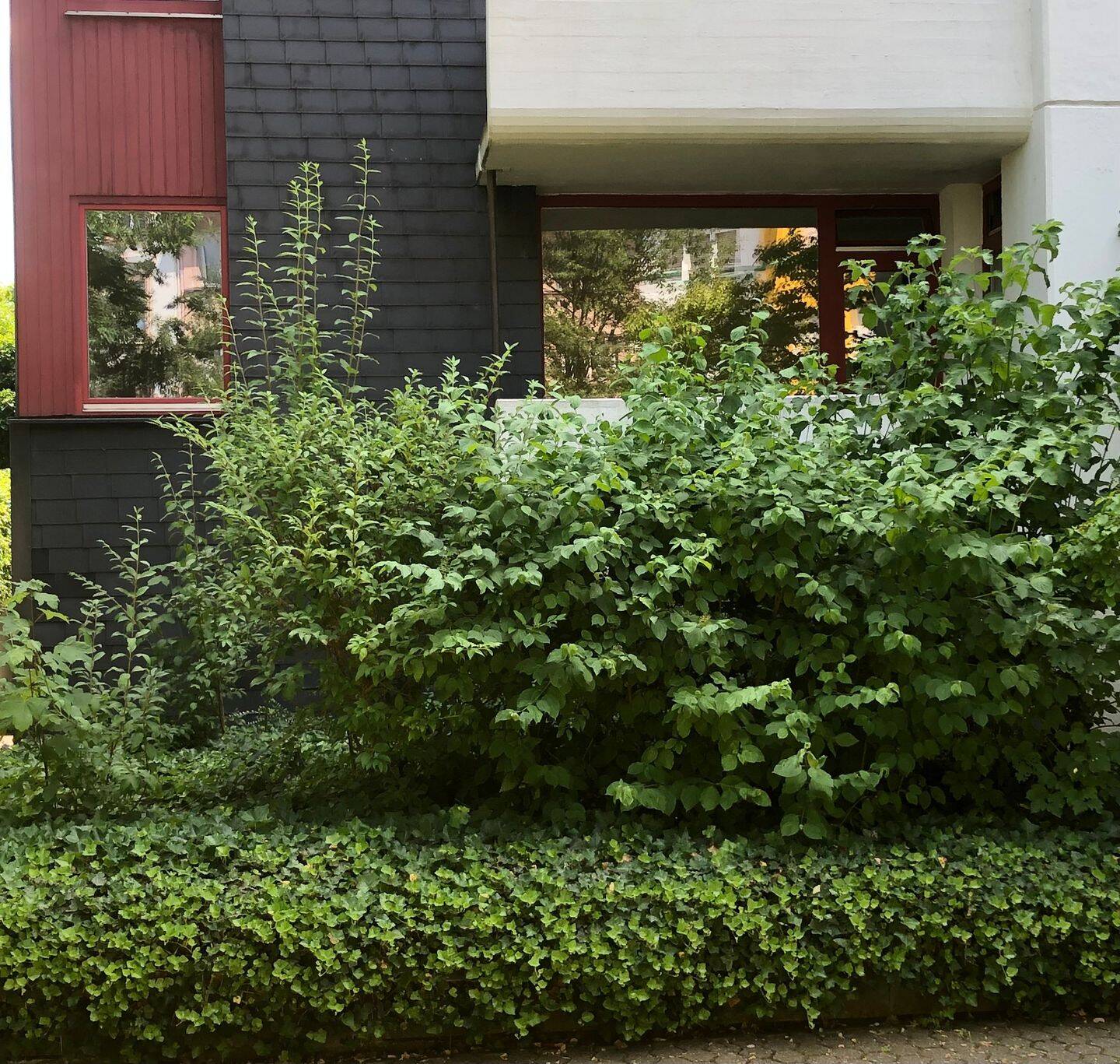2 Zimmerwohnung mit Balkon, Ko-Lützel, 56070 Koblenz
