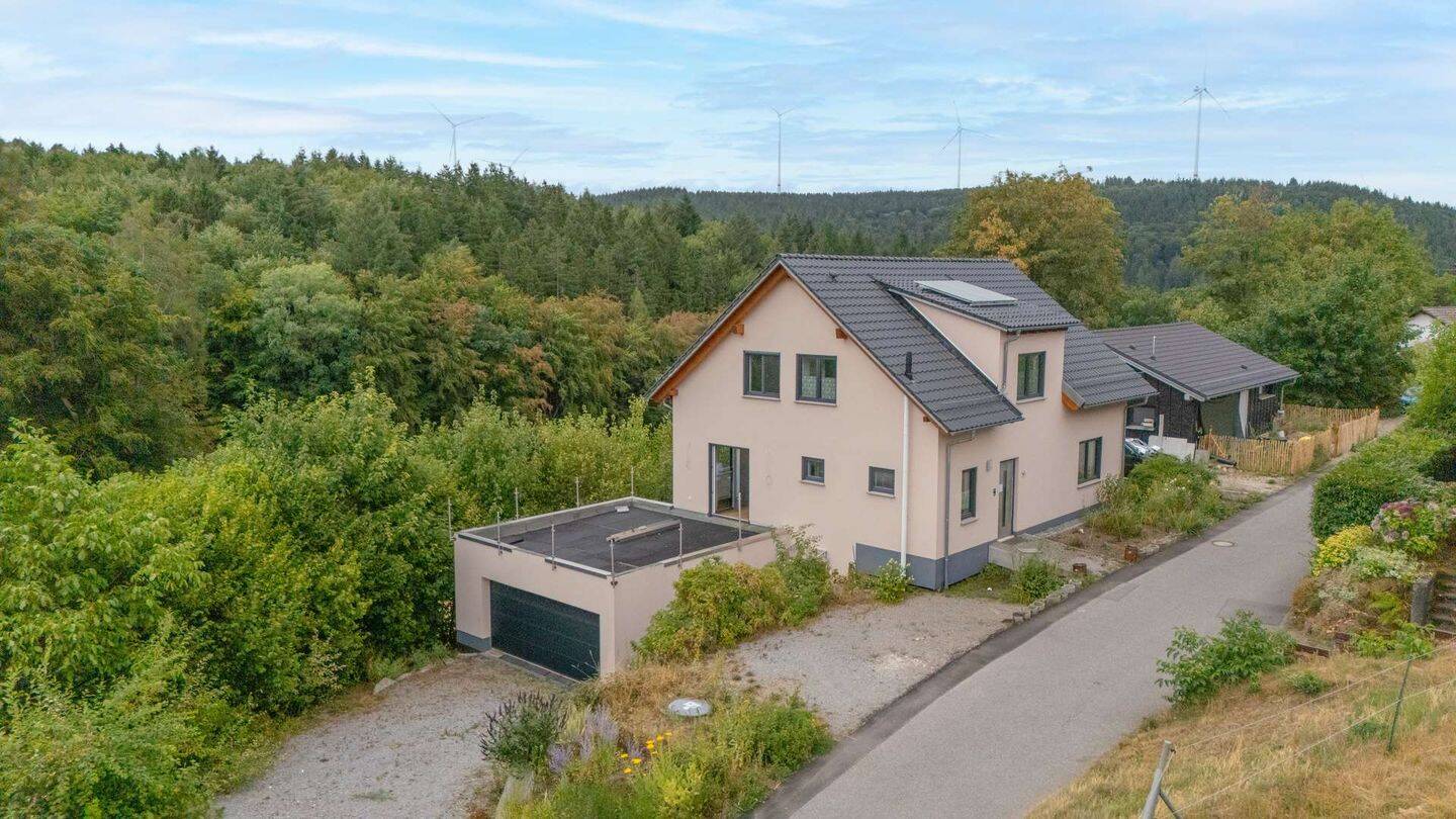 Ein Zuhause, zwei Möglichkeiten: Einfamilienhaus von 2020 mit Einliegerwohnung, 69483 Wald-Michelbach