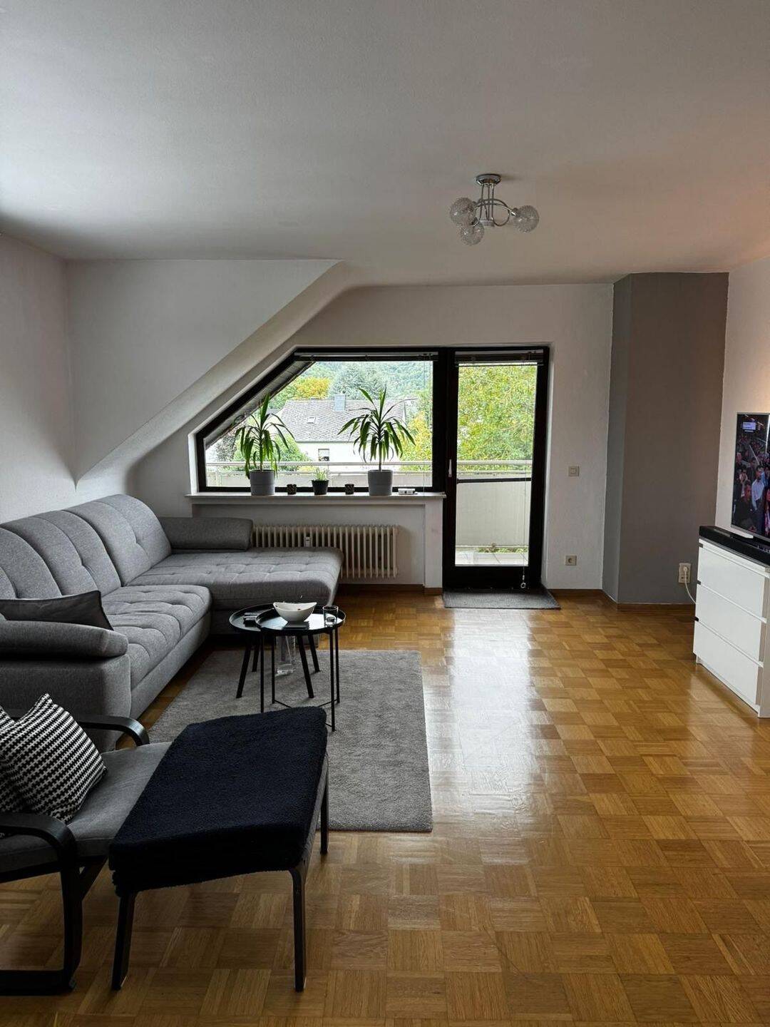 Ruhige 2,5-Zimmer-Wohnung mit schöner Aussicht, großem Balkon und guter Anbindung nach Luxemburg in Trier-Pfalzel zu vermieten, 54293 Trier