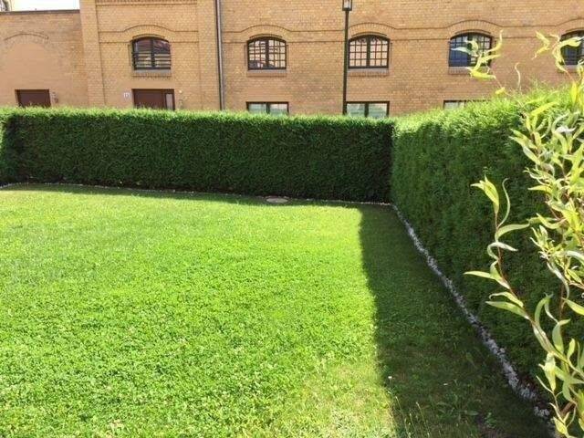 Gartenwohnung mit Denkmal AfA – 3 Zi. Erstbezug Balkon Garten provisionsfrei, 99086 Erfurt