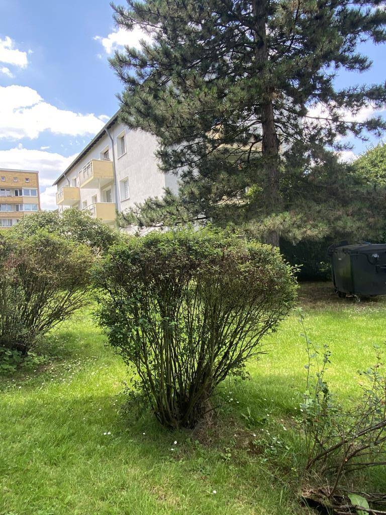 ** Sommeraktion** – Gut aufgeteilte Dachgeschosswohnung mit Balkon in Essen Dellwig, 45357 Essen (Bedingrade Borbeck-Mitte Dellwig Frintrop Gerschede)