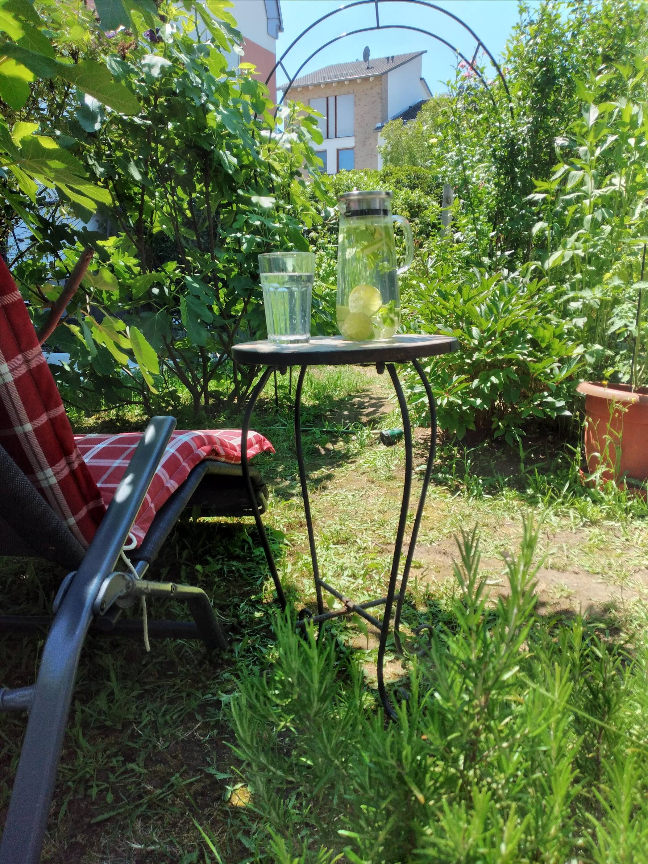 Modernes Einfamilienhaus mit Balkon und Garten, möbliert zu vermieten, 65929 Frankfurt am Main (Höchst Schwanheim Unterliederbach)
