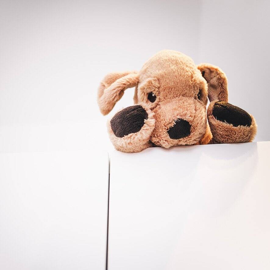 Ein Zuhause, in dem Kinderträume wachsen!, 47475 Kamp-Lintfort